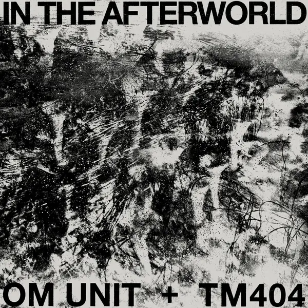 In The Afterworld Album Cover